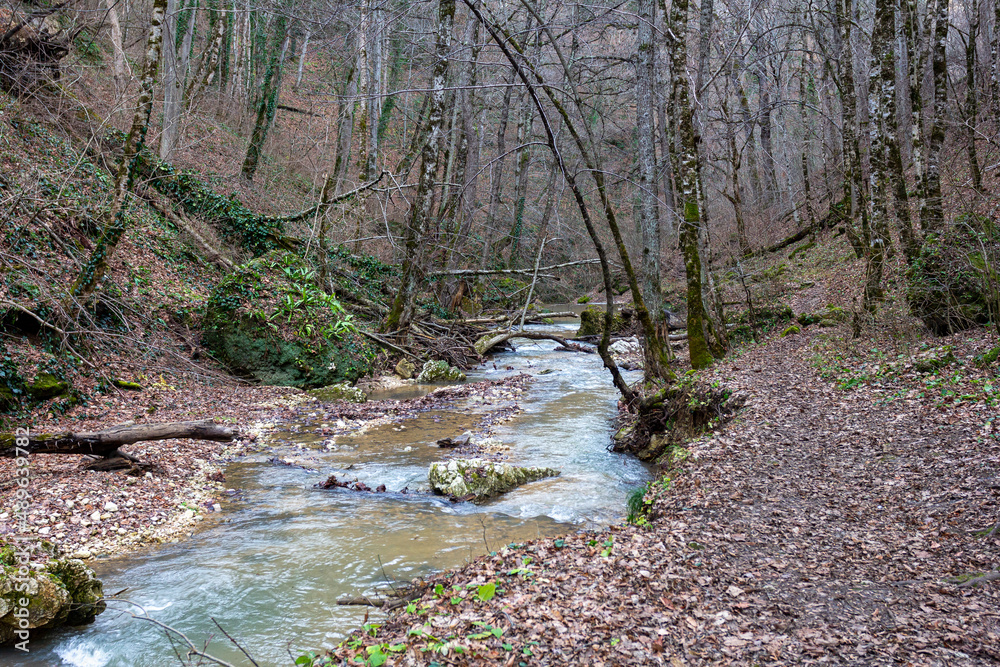 Naklejka premium mountain river canyon late autumn season in Europe . walking in nature, observing the process of changing the season.