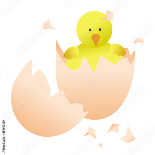 New born baby chicks in a cracking eggs.Vector.