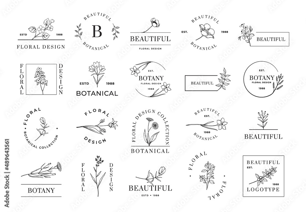 Floral logo. Minimalistic botanical emblems for cosmetic beauty wedding invitation and organic shop. Flowers and plant twigs. Lettering and borders. Vector calligraphic botany icons set