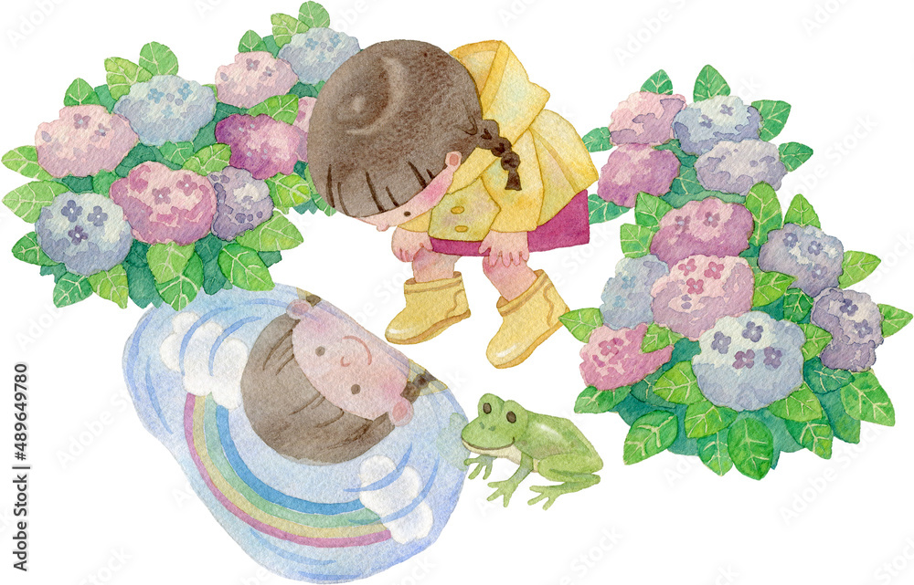 水たまりをのぞく女の子のイラスト 紫陽花付き Stock Illustration Adobe Stock