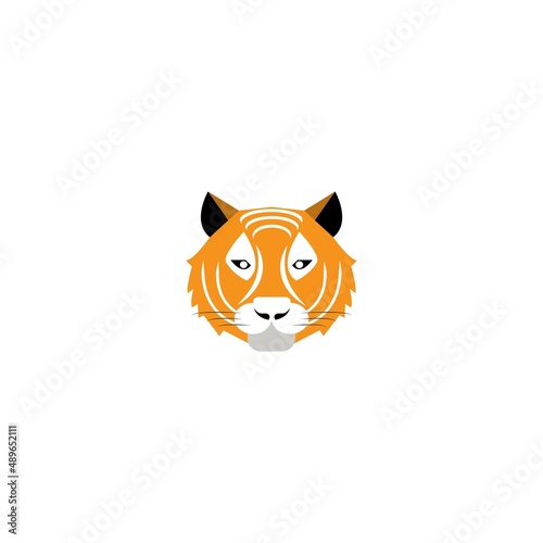tiger illustration © azam