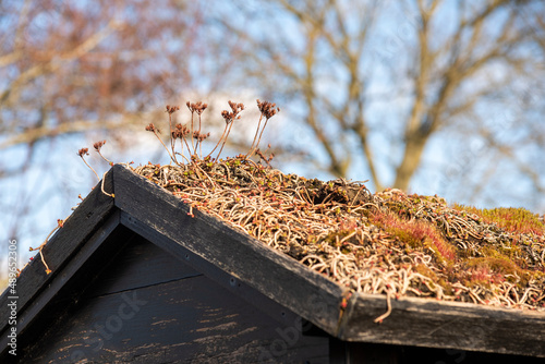 Roof of an insect hotel on a vegetable garden