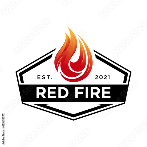 Fire flames gas logo design vector template
