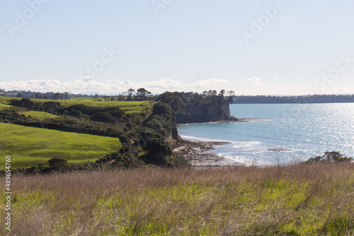 Long Bay Coastal Walk in a sunny day, New Zealand.