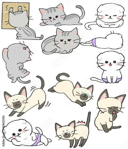 Cute Cat Various Behaviors Animal Drawing Collection, Cat Outline HandDrawn, Assorted Cat Vector Flat icons Watercolor, Cat illustrations icon Set.
