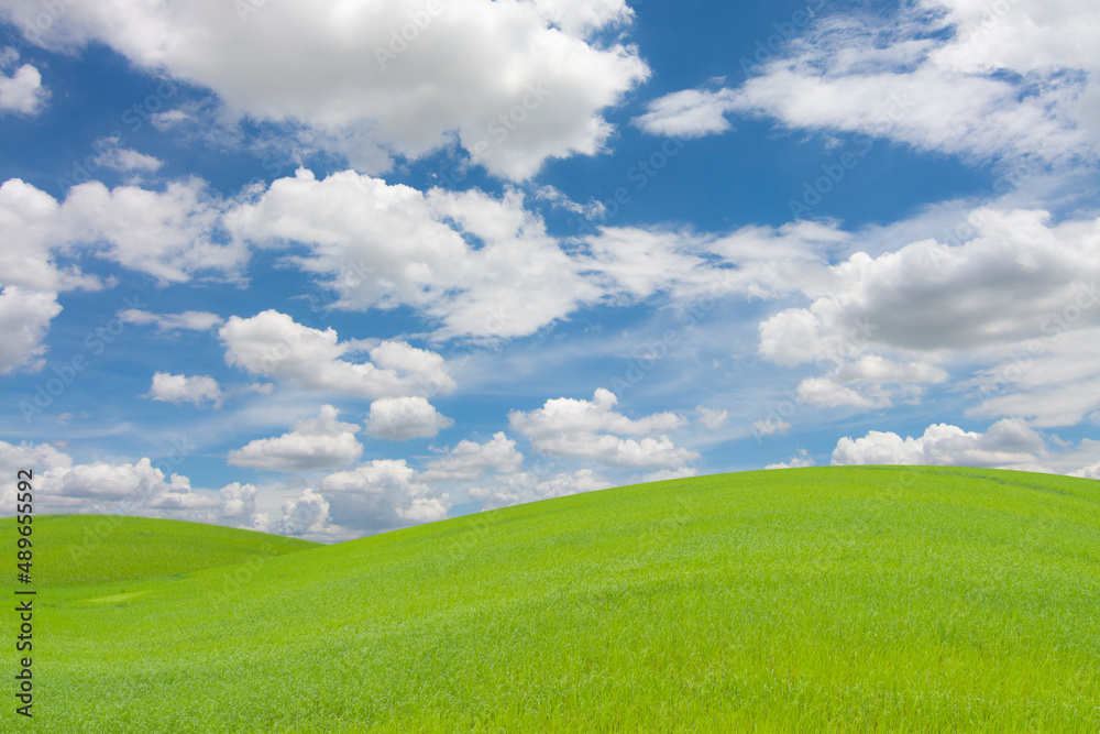green field with blue sky and cloud