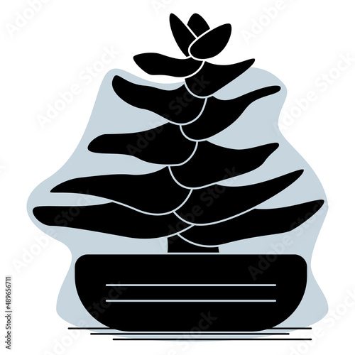 Cactus, succulent in a pot for home and office. A tree-like houseplant with horizontal leaves. Vector icon, glyph, silhouette, abstract gray background, isolated