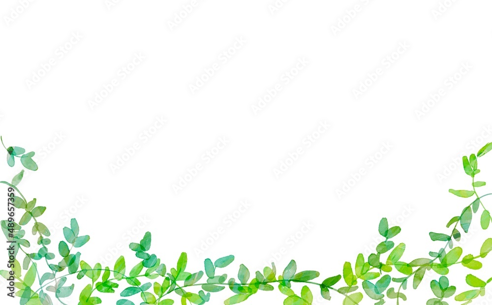 水彩画。水彩タッチで描いた緑の葉っぱ。草木の装飾フレーム。草木イラストのフレーム背景。Watercolor painting. Green leaves painted with a touch of watercolor. Decorative frame of plants and trees. Grass and tree illustration frame background. 水彩画。水彩タッチで描いた緑の葉っぱ。草木の装飾フレーム。草木イラストのフレーム背景。Watercolor painting. Green leaves painted with a touch of watercolor. Decorative frame of plants and trees. Grass and tree illustration frame background.