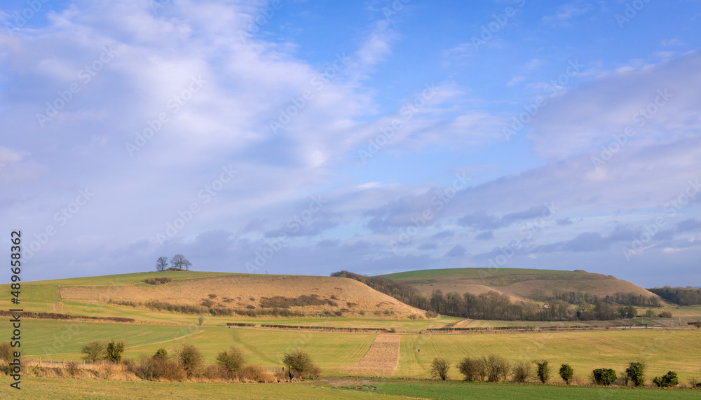 At the foot of Battlebury hillfort near Warminster in Wiltshire south west England with views ahead of Middle Hill and Scratchbury hillfort