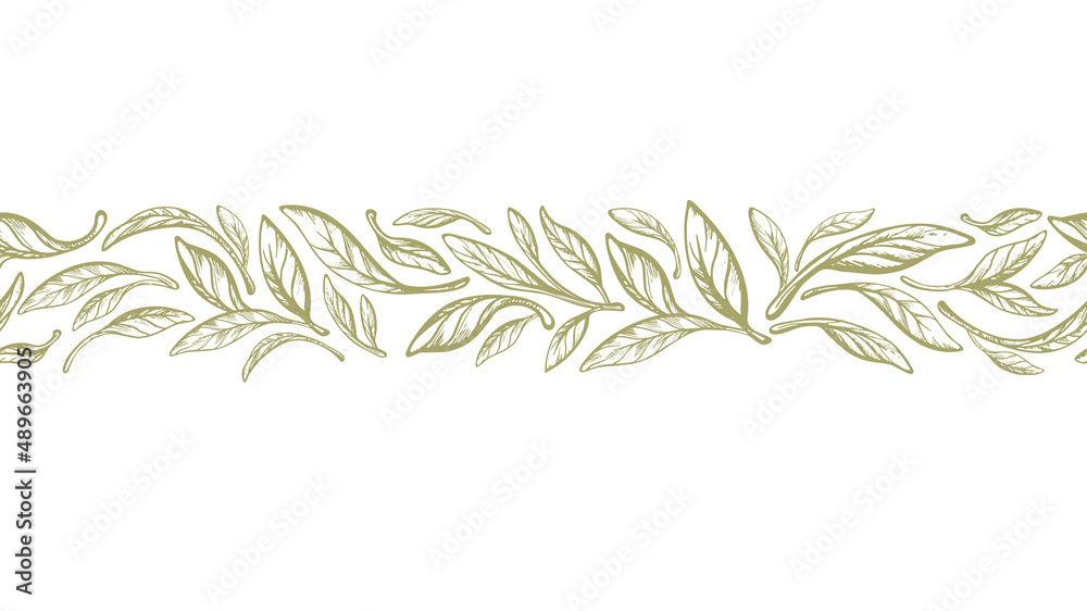 Leaves border. Olive, laurel greek seamless print