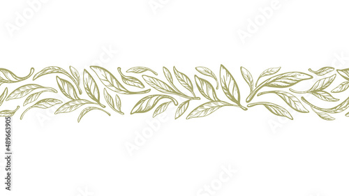 Leaves border. Olive, laurel greek seamless print photo