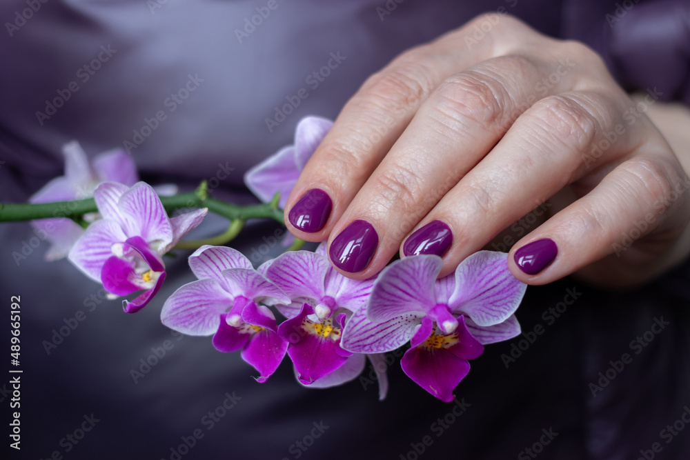 Fototapeta premium Violet gel polish manicure on short nails with an orchid of the same shades
