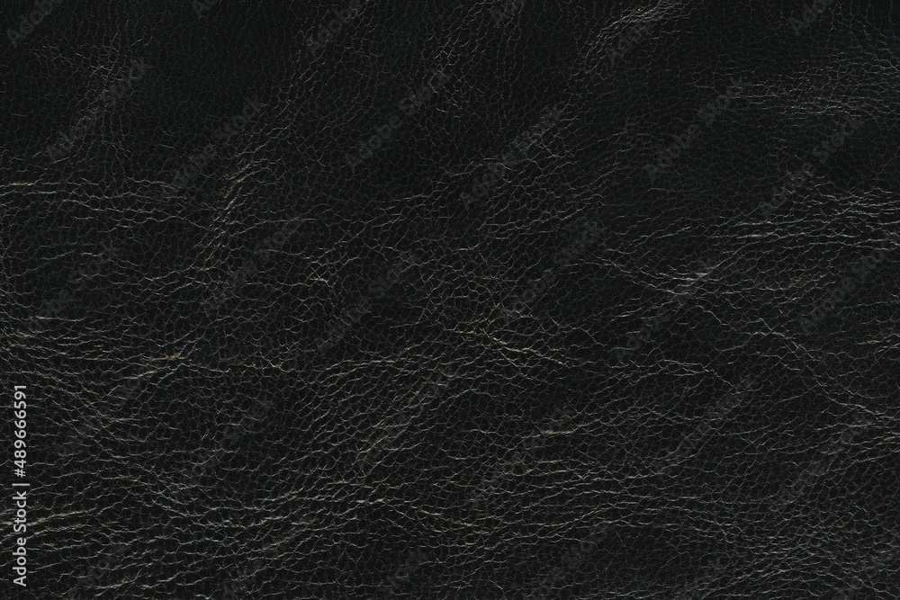 © BEIZ images - 黒色のシワのある革