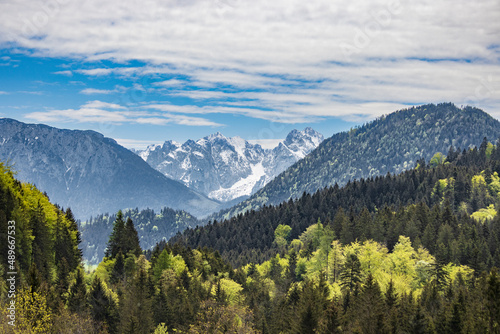 Alpenpanorama mit Wald
