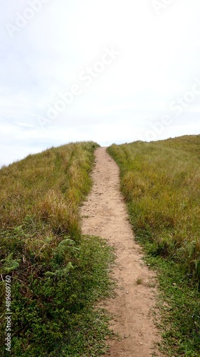 path in the field