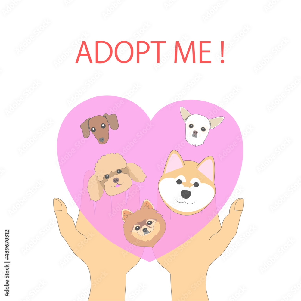 Animal adoption: hands holding dogs Animal adoption: hands holding dogs