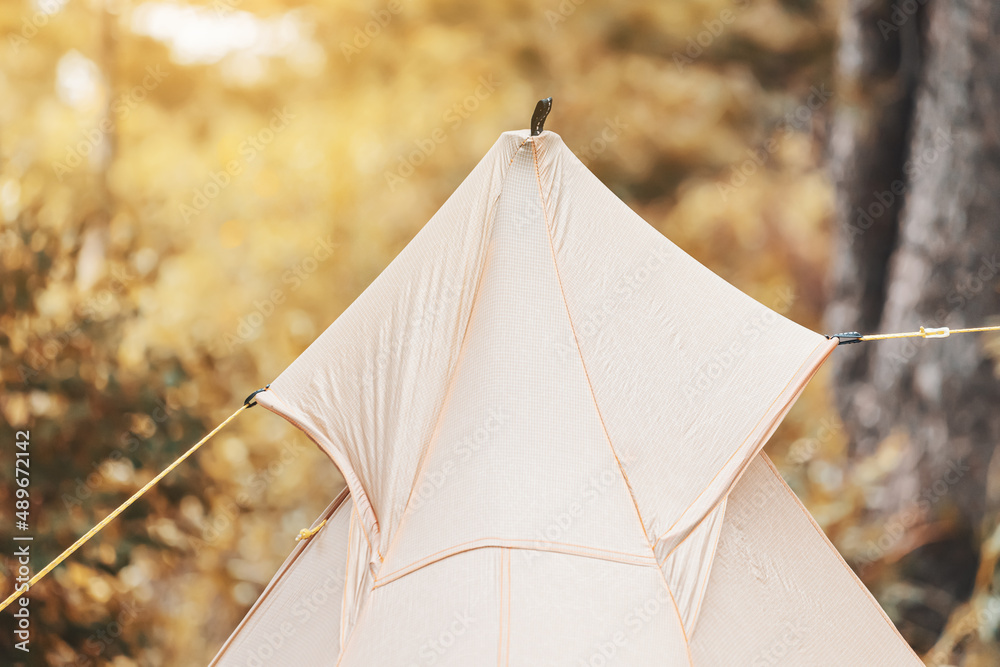 Ultralight tent with rope ties is installed in a dense forest in the