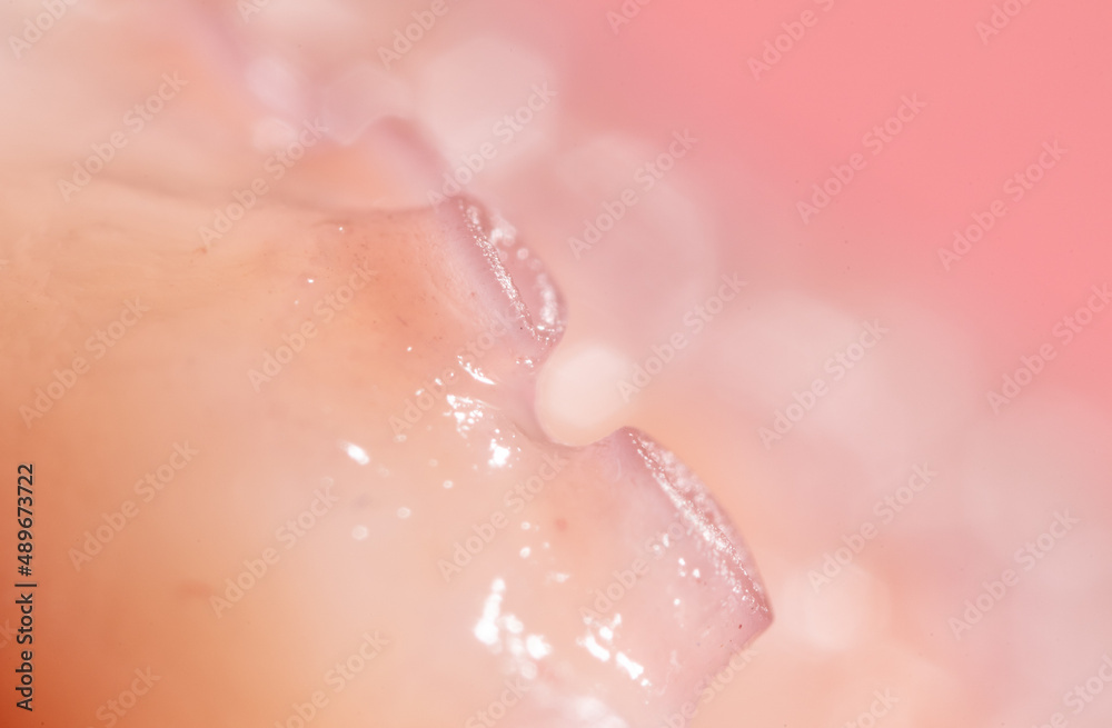 Close up of squid tentacles as background. Close up of squid tentacles as background.