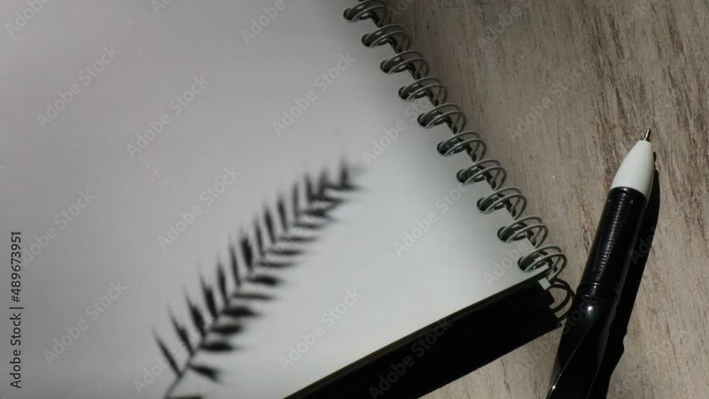 Notebooks, pen and hard shadow of glass vase. Workplace, writer desk table concept Notebooks, pen and hard shadow of glass vase. Workplace, writer desk table concept