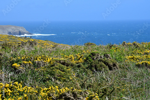 Plogoff; France - may 16 2021 : Cap Sizun