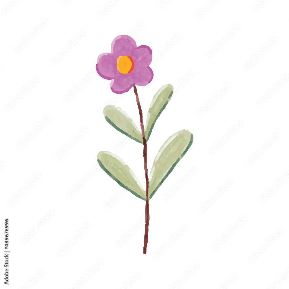 Wildflower Aster Hand Painted Watercolor Illustration