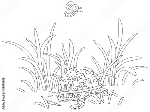 Antiwar protest symbol with an abandoned military helmet among grass on a battle field and a small butterfly flittering around  black and white outline vector cartoon illustration for a coloring book