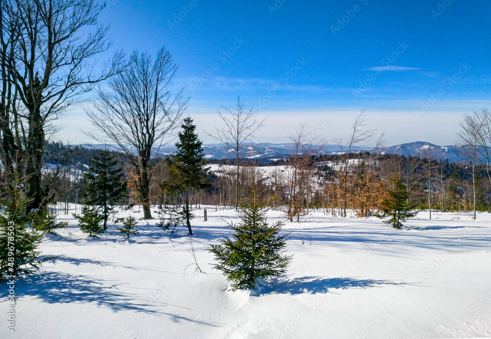 Mountain winter landscape