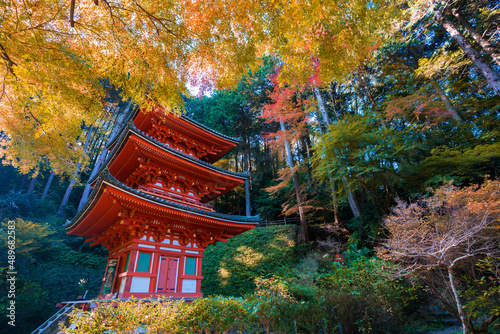 京都 岩船寺（がんせんじ）の三重塔と紅葉