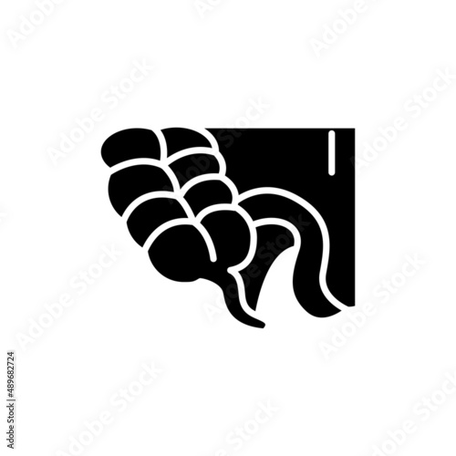 Human organ appendix line icon. Isolated vector element.