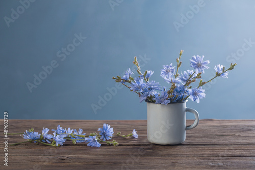 chicory flowers in old vintage cup on blue background