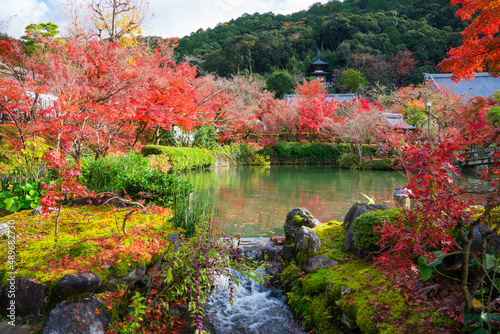 京都　晩秋の永観堂