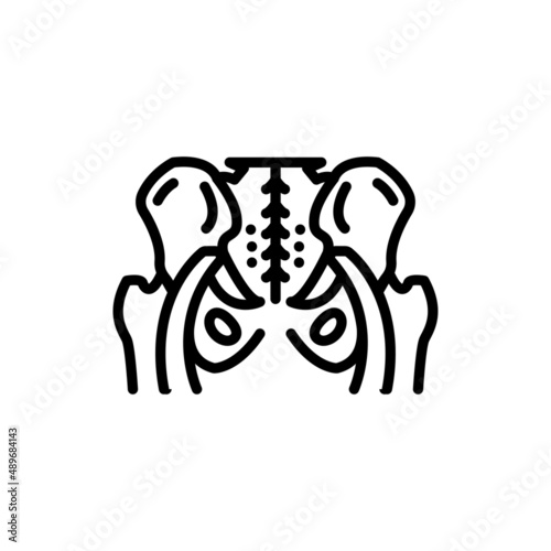 Pelvis healthy line icon. Isolated vector element.