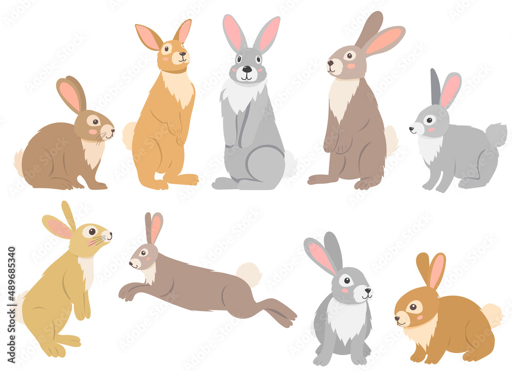 rabbit set flat design , isolated vector rabbit set flat design , isolated vector