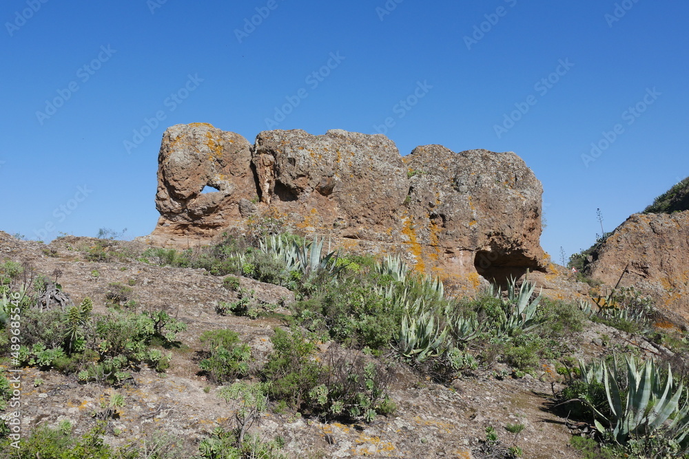 Fototapeta premium Felsen auf Gran Canaria
