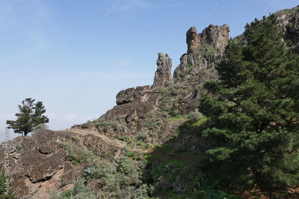 Felsen und Kiefern auf Gran Canaria Felsen und Kiefern auf Gran Canaria