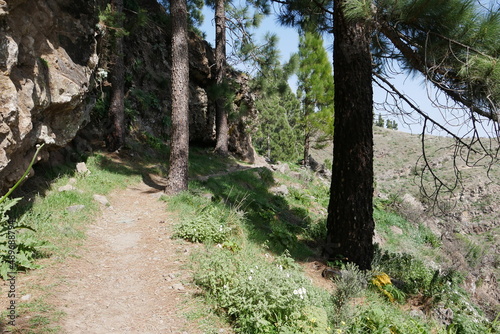 Wanderweg, Felsen und Kiefern auf Gran Canaria