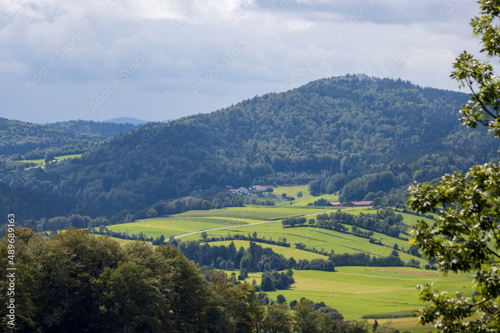 Landschaft im Bayerischenwald