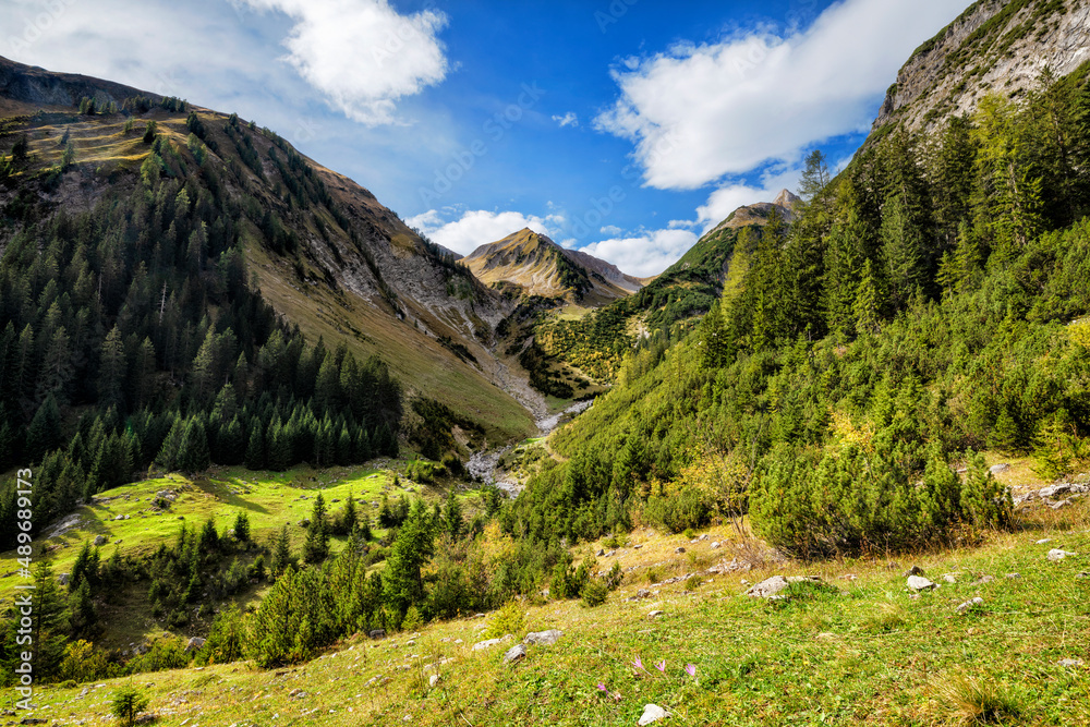 Beautiful little mountain valley with green grass and forest at a sunny day in the Allgau Alps near Elbigenalp. Tirol, Austria, Europe
