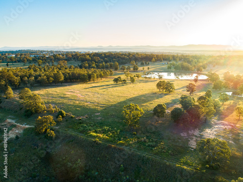 Afternoon sunlight over a paddock of trees with a dam in the distance