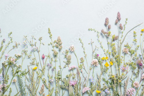 different  wild flowers on paper background