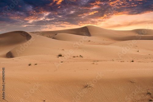 Sand dunes landscape view of Sahara desert at sunset in Dubai  United Arab Emirates