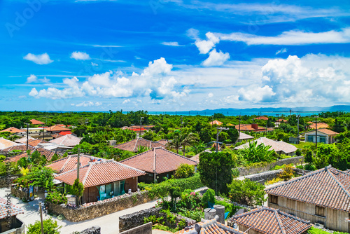 なごみの塔から見た竹富島