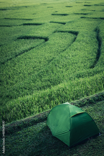 Green camping tent with Beautiful sunruse scene of rice paddies field at Ban Mae Klang Luang, Doi Inthanon National Park,Chiang Mai,Thailand. photo