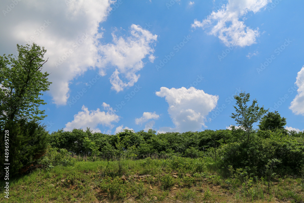 clouds blue sky daytime afternoon hill trees hillside tall green grass foliage mound rural landscape clouds blue sky daytime afternoon hill trees hillside tall green grass foliage mound rural landscape