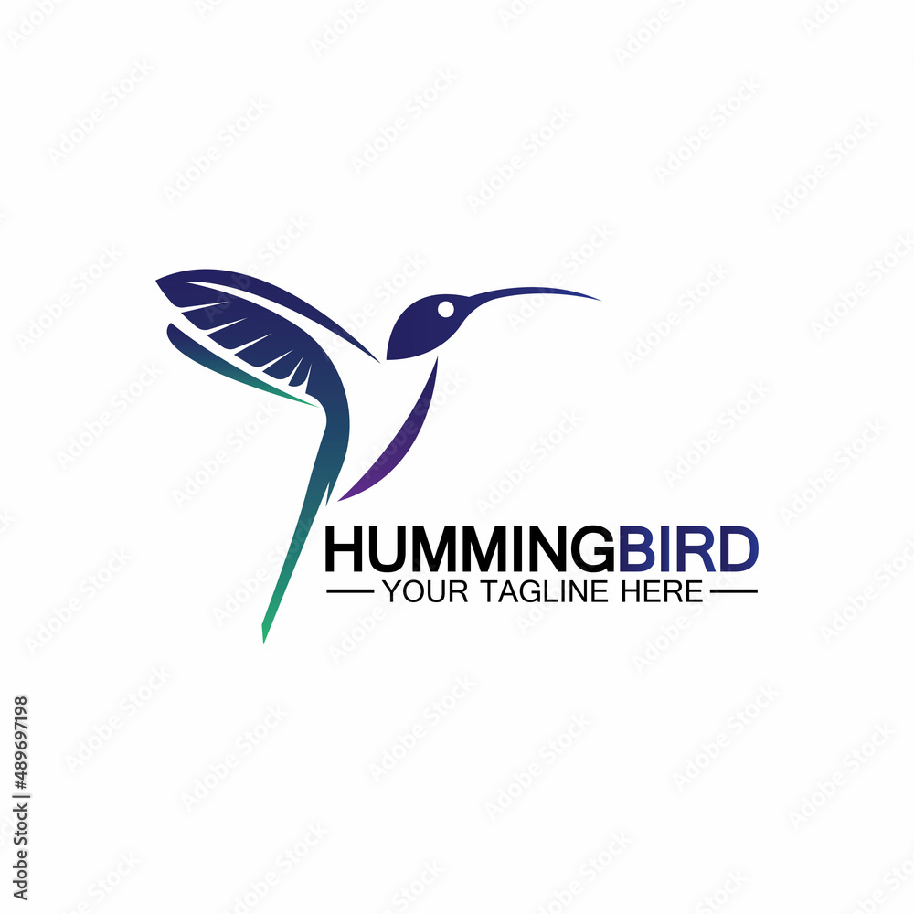 Hummingbird logo design vector template Hummingbird logo design vector template