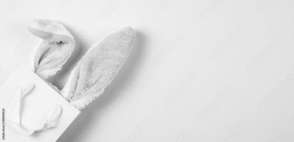 Wide banner on a white background. The concept of online shopping for Easter, purchases and sale for the holiday. Gift bag with bunny ears Wide banner on a white background. The concept of online shopping for Easter, purchases and sale for the holiday. Gift bag with bunny ears