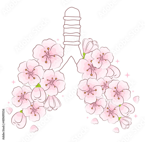 Concept of lungs