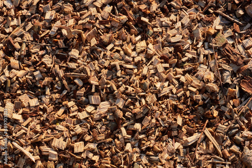 Wood chips on the ground in a forestry area