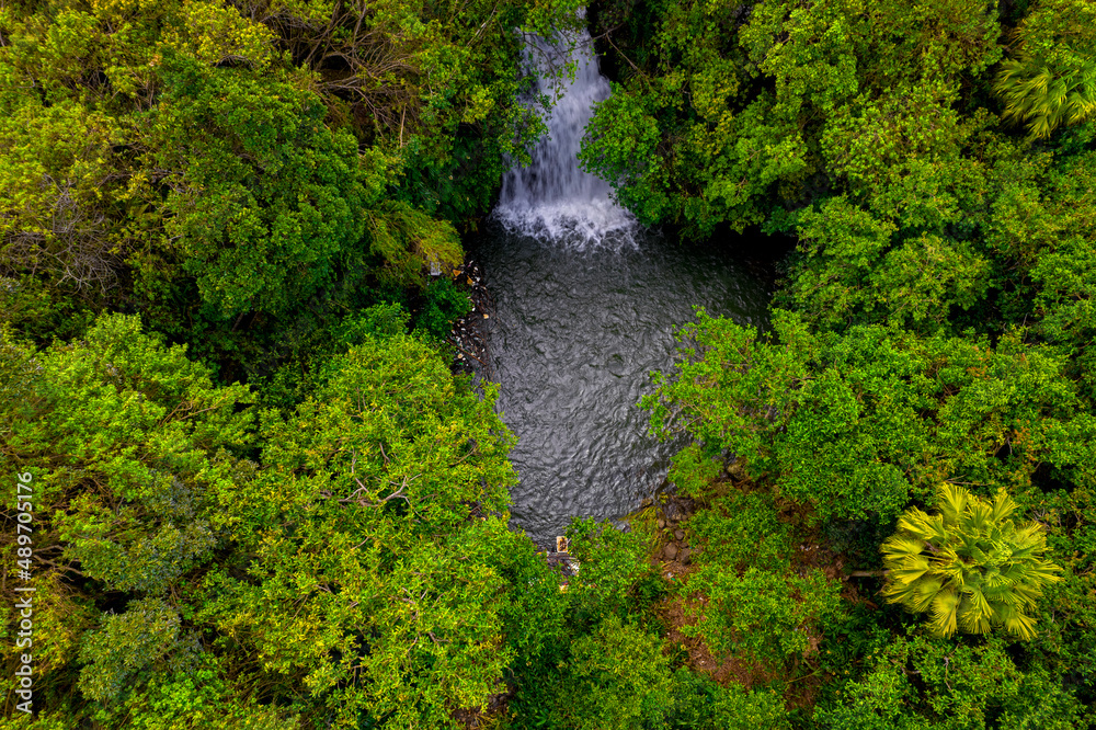 Aerial view of a hidden waterfall found in a forest located in Mauritius