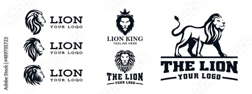 set of head lion logo design vector illustration
